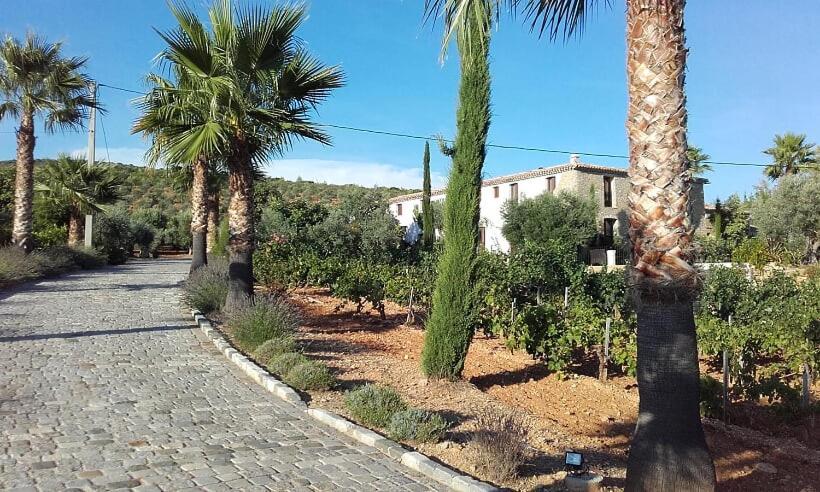 La Bastide De L'Oliveraie Le Castellet (Var) Exterior foto